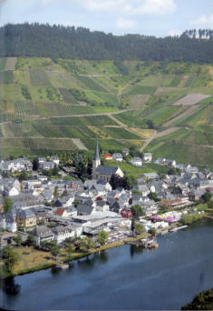 Jungle Dick der Charmeur