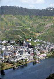 Jungle Dick der Charmeur